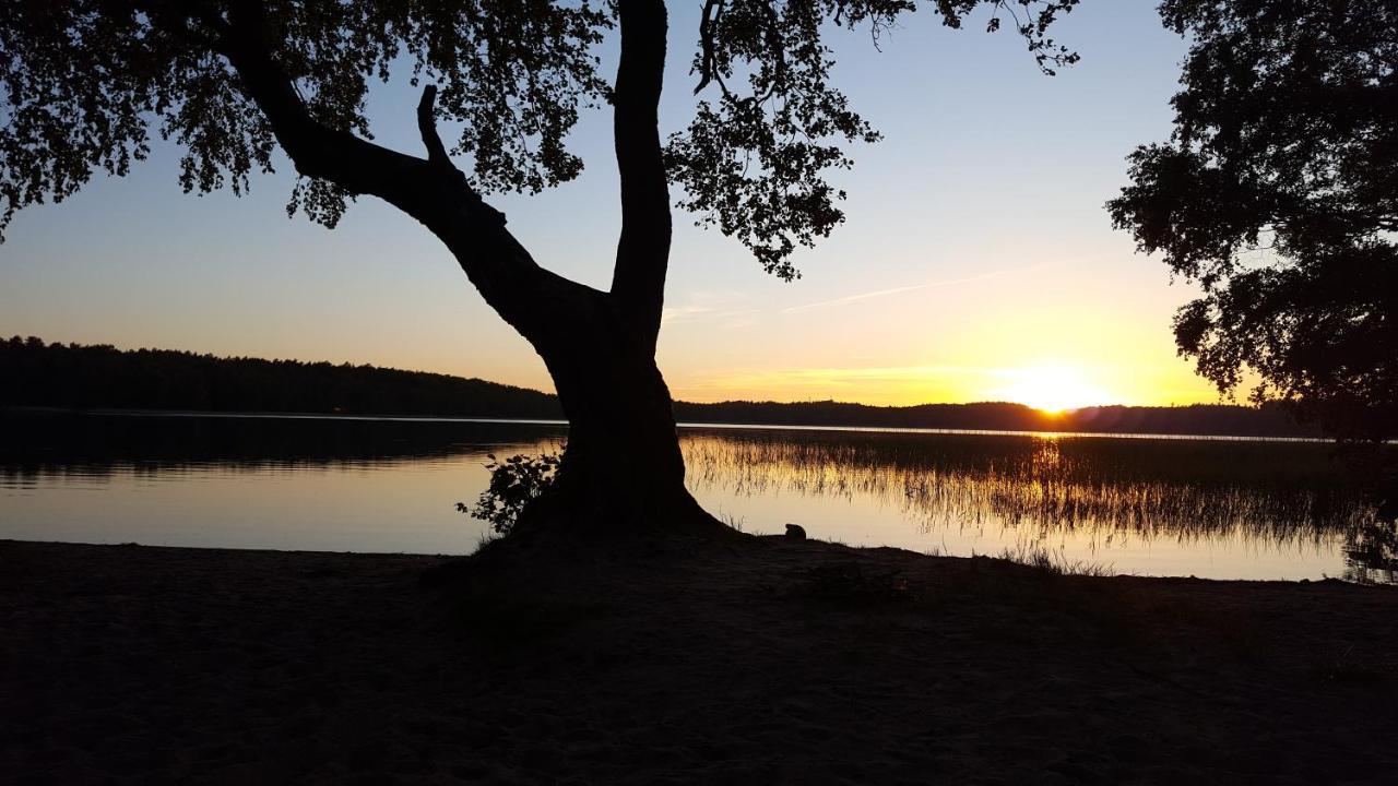 Brzozowa Polana Villa Perlino Exteriör bild