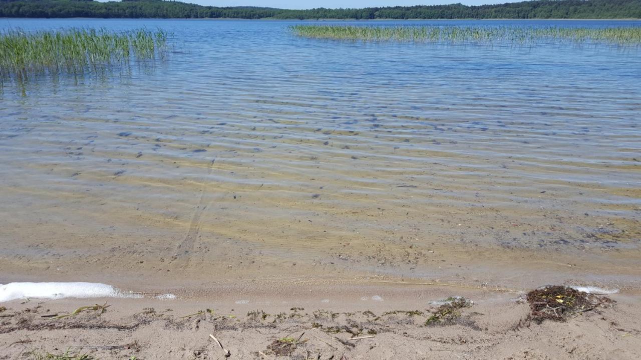 Brzozowa Polana Villa Perlino Exteriör bild