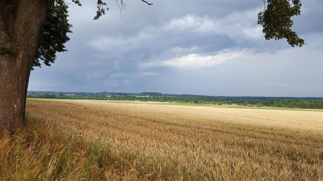 Brzozowa Polana Villa Perlino Exteriör bild