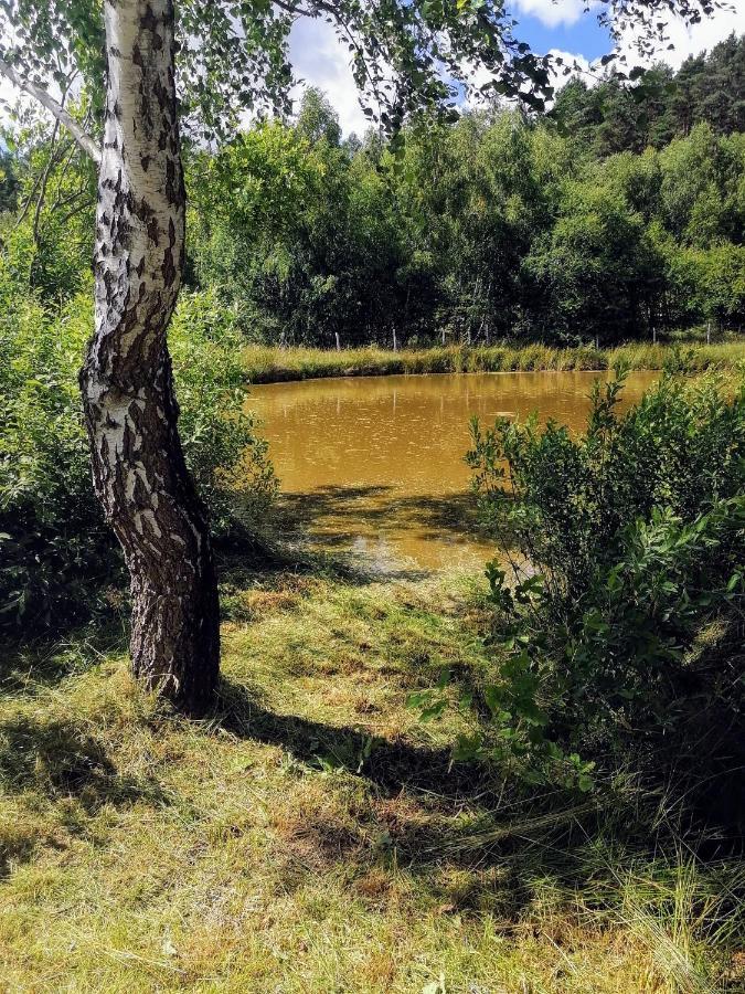 Brzozowa Polana Villa Perlino Exteriör bild