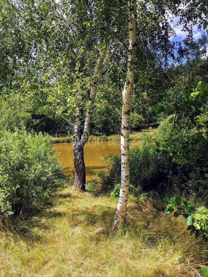 Brzozowa Polana Villa Perlino Exteriör bild