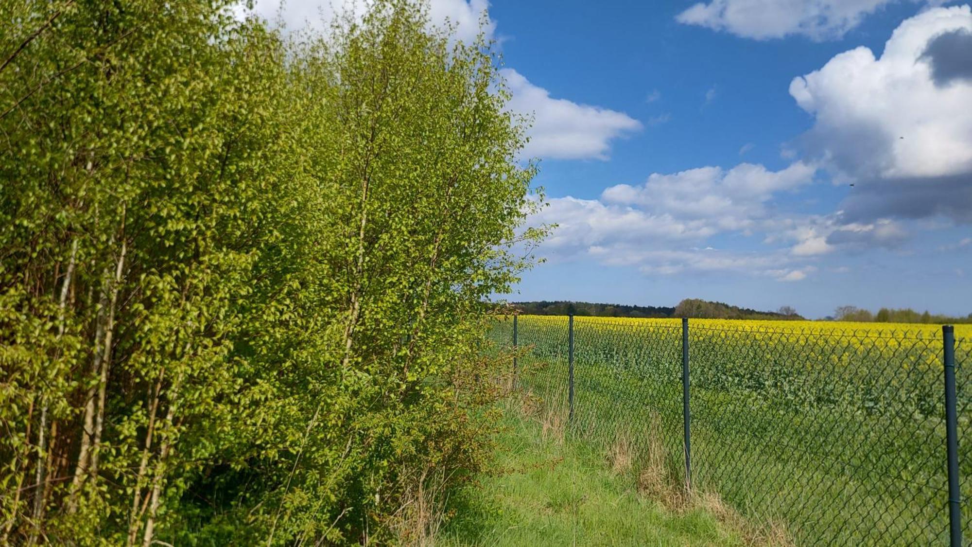 Brzozowa Polana Villa Perlino Exteriör bild